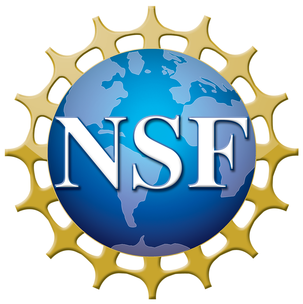 IL Submits Phase 1 SBIR to National Science Foundation